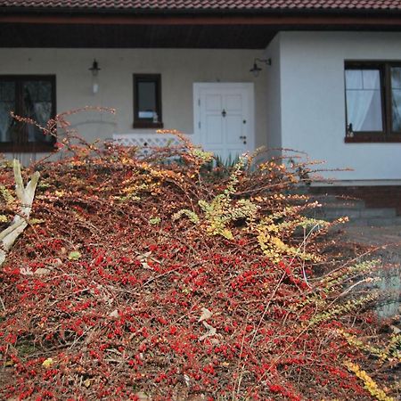 Pokoje nad Młynem Stryków Exteriér fotografie