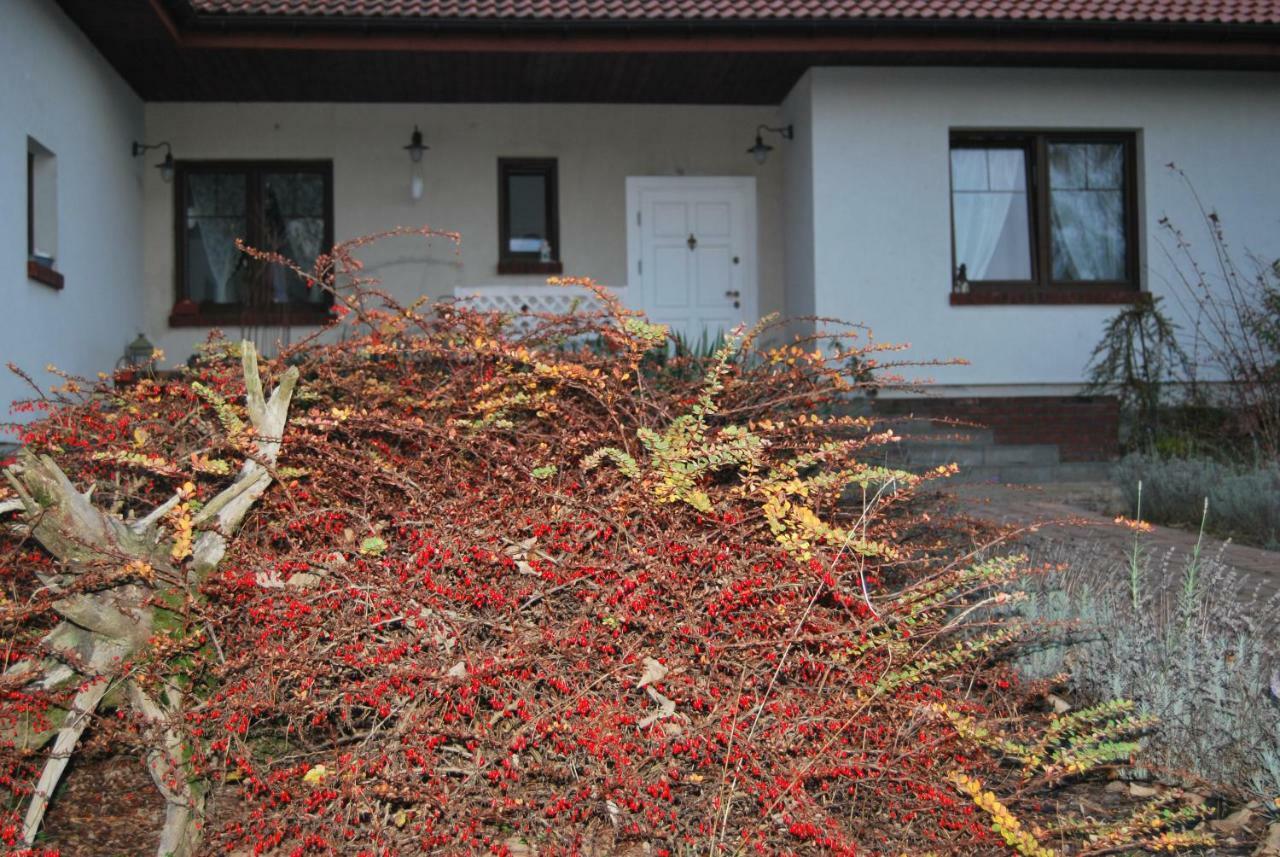 Pokoje nad Młynem Stryków Exteriér fotografie